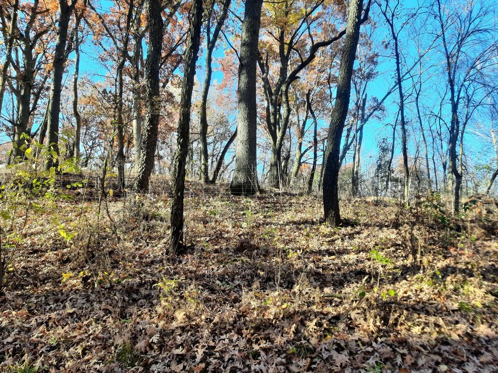 Oak Savanna habitat at Lebanon Hills Regional Park.